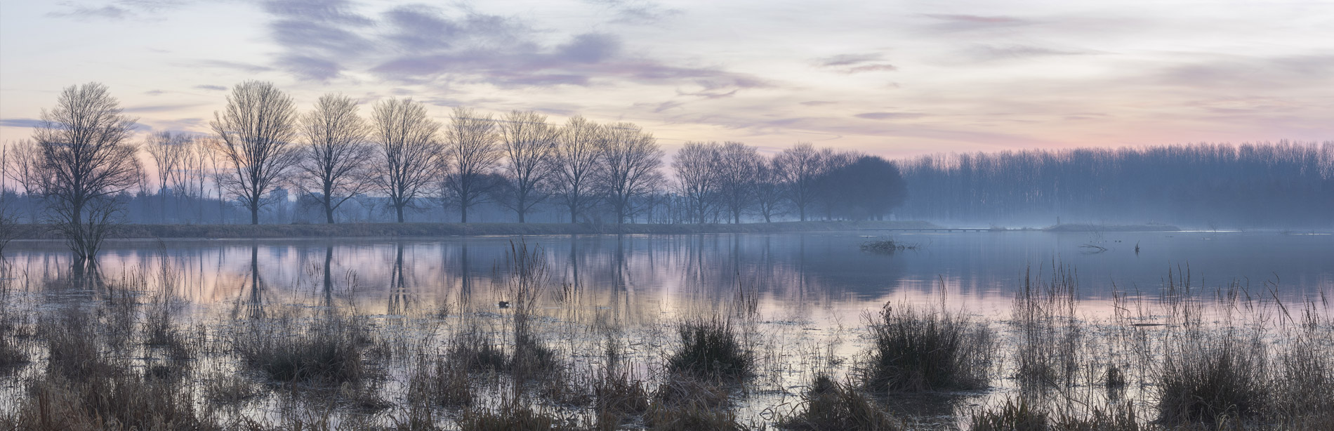Veel gestelde vragen